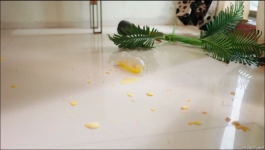 Crime Patrol City Crimes - 2nd August 2024